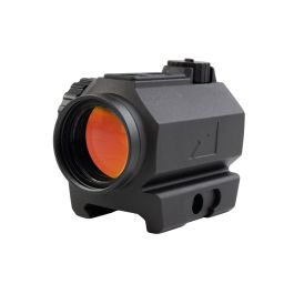 NT-RN-P10-1L.jpg
