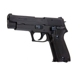 Tanaka SIG P220 HW Japan Maritime Self Defense Force Evolution Model ...