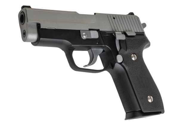 Tanaka SIG P228 Evolution 2 Two-Tone All Heavy Weight Model Gun
